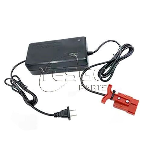 Electric Forklift DZL482002 10301097 Battery Charger For Pallet Truck CBD15-WS CBD18-WS