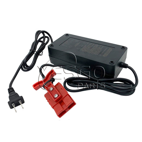 Electric Forklift DZL482002 10301097 Battery Charger For Pallet Truck CBD15-WS CBD18-WS