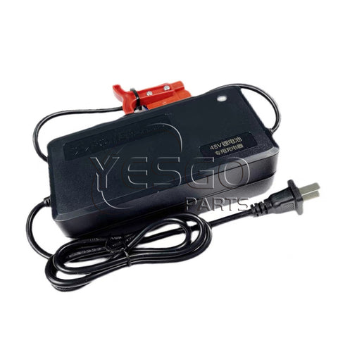 Electric Forklift DZL482002 10301097 Battery Charger For Pallet Truck CBD15-WS CBD18-WS