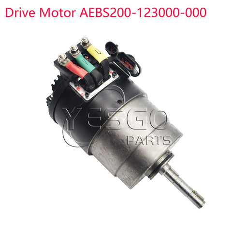 Forklift Part Motor Assy YDQ1.1-4-4820 AEBS200-123000-000