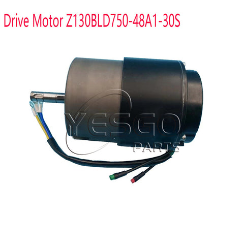 Forklift Part Drive Motor Z130BLD750-48A1-30S For Forklift 508598510012