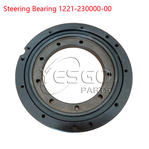 Forklift Parts Steering Bearing 1221-230000-00